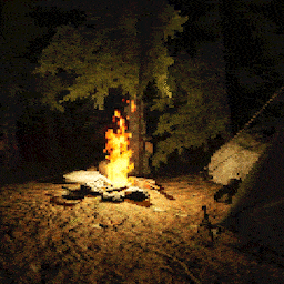 Cover image for Night camp
