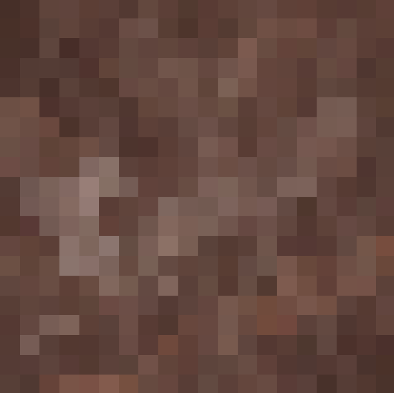 Primal Terror