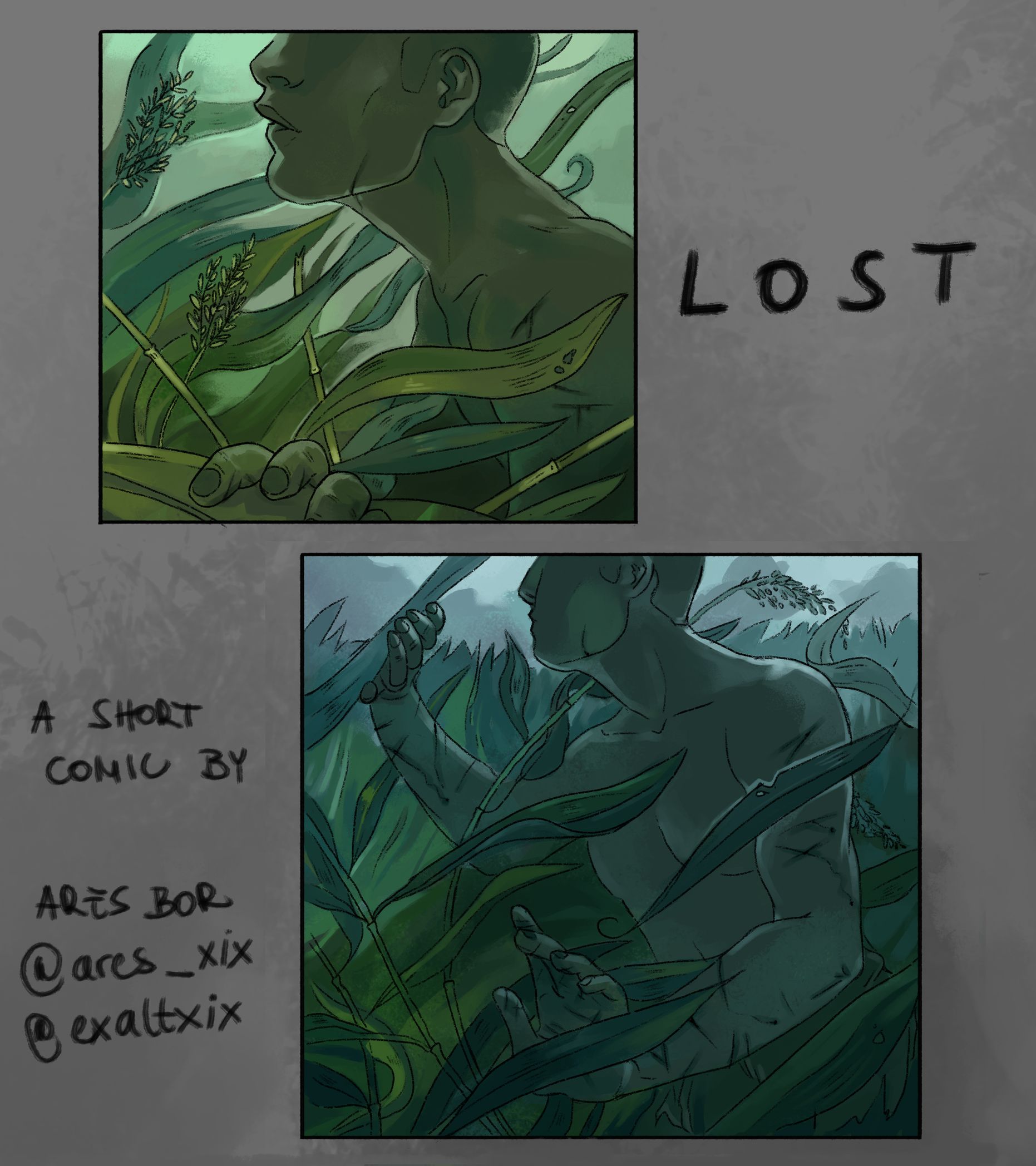 Cover image for LOST