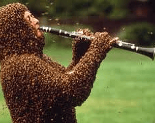 2018 bee stabbing