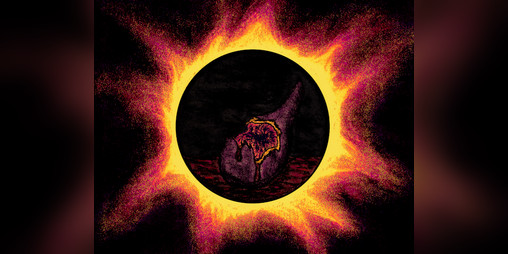 Cover image for Radiance Inviolate