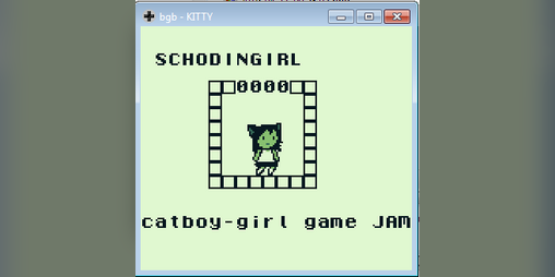 Cover image for SCHRODINGIRL