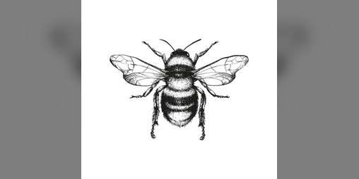 Cover image for Winemaker's Way - Buzzing Vineyards Expansion
