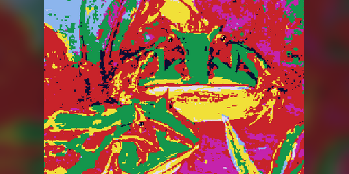 Cover image for LICK THE TOAD