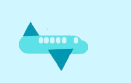 Airplane jumper