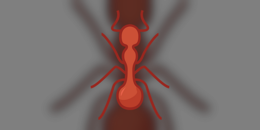 Cover image for Marabunta