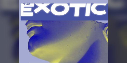 Cover image for The Exotic (CY_BORG Class)