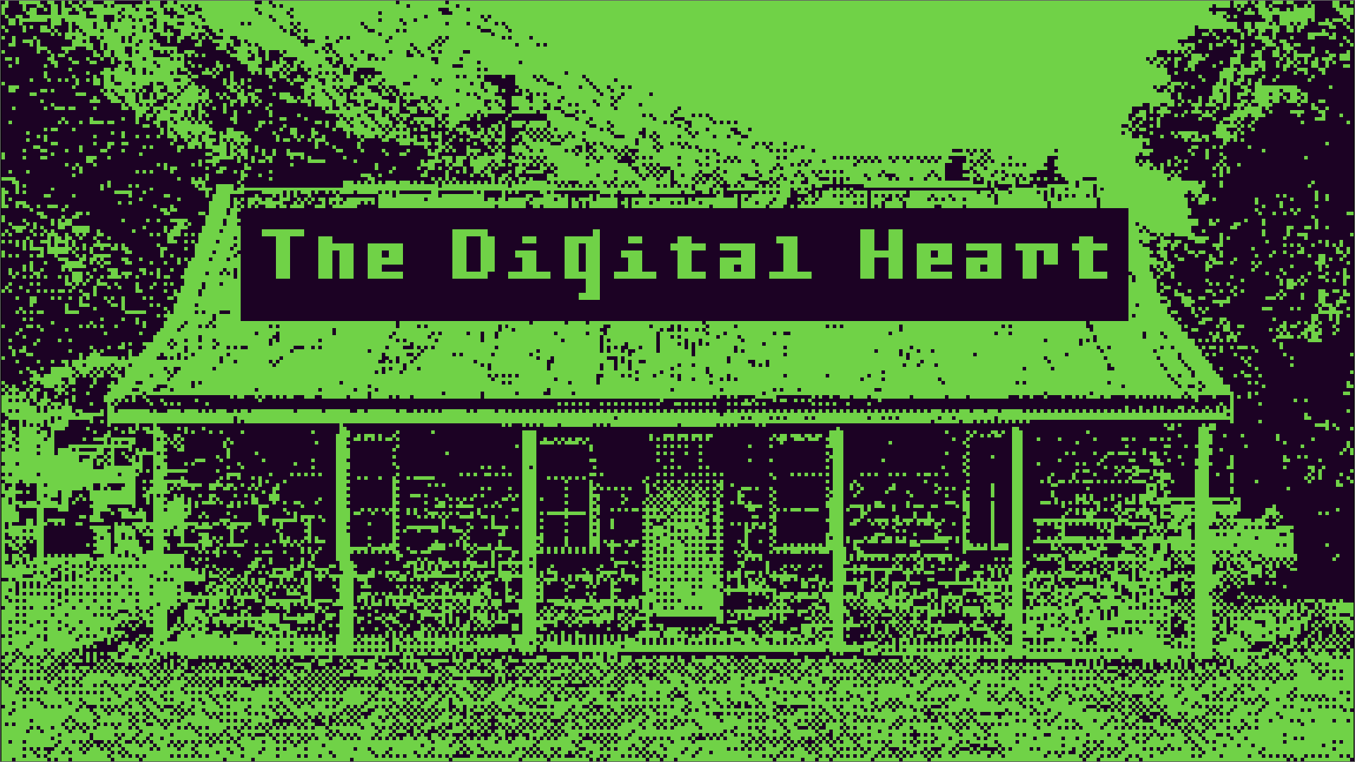 Cover image for The Digital Heart