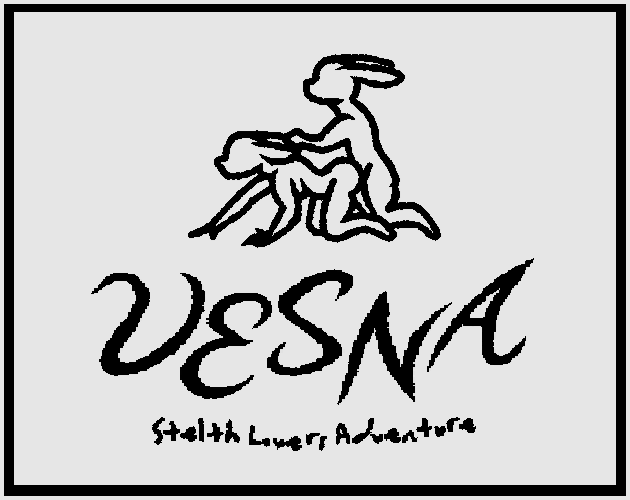Cover image for VESNA - Stelth Lovers Adventure