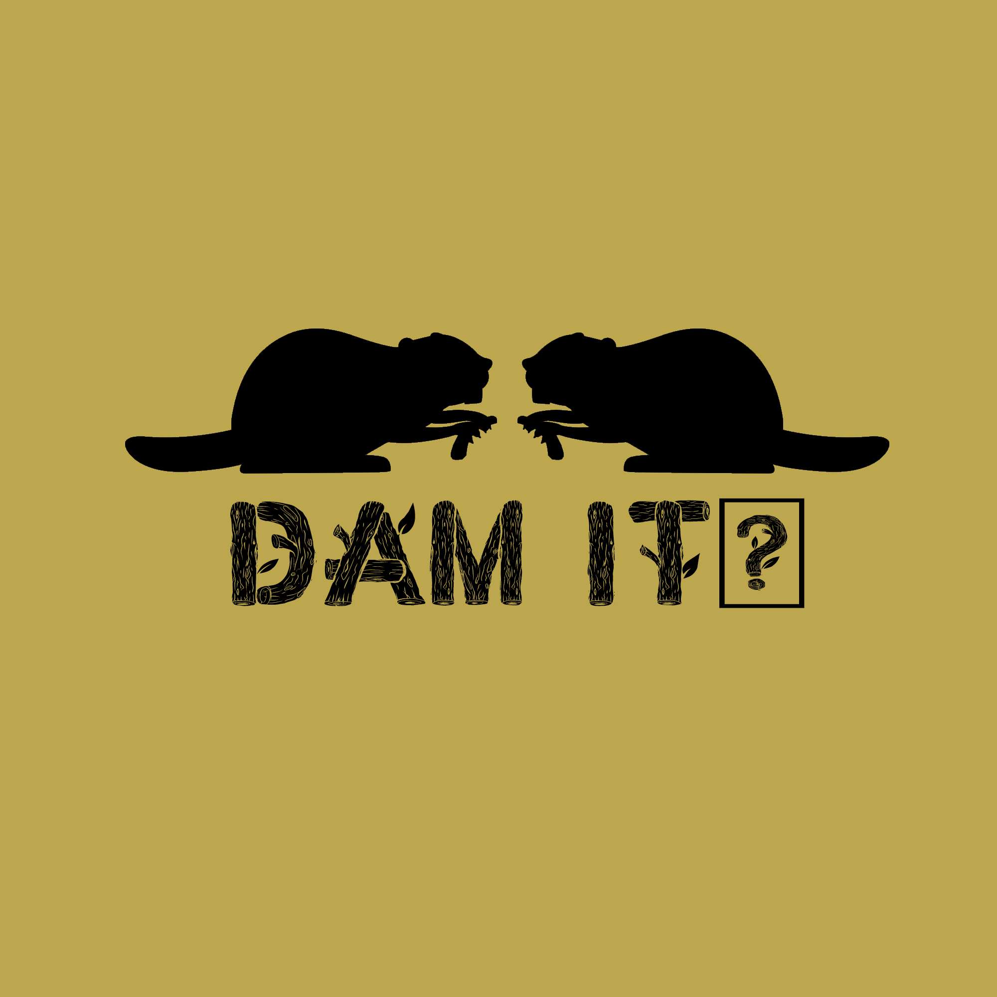 Dam It!