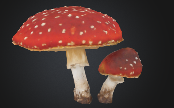 3D Mushroom Assets