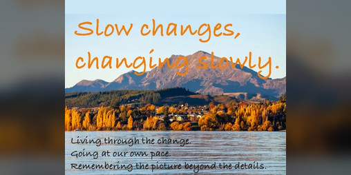 Cover image for Slow