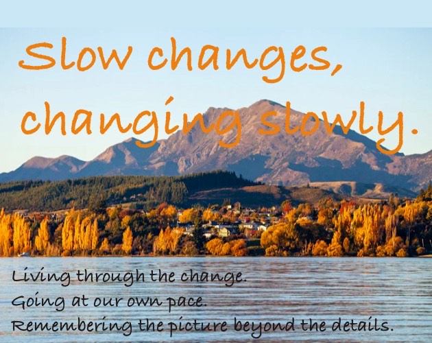 Cover image for Slow