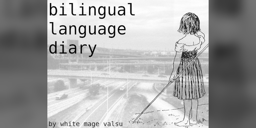 Cover image for bilingual language diary