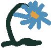 Cover image for Plants
