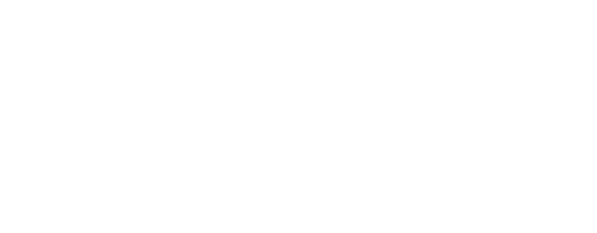 EchoPudu