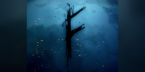 Cover image for Fehu