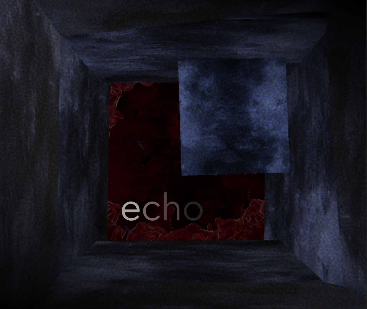 Cover image for Echo