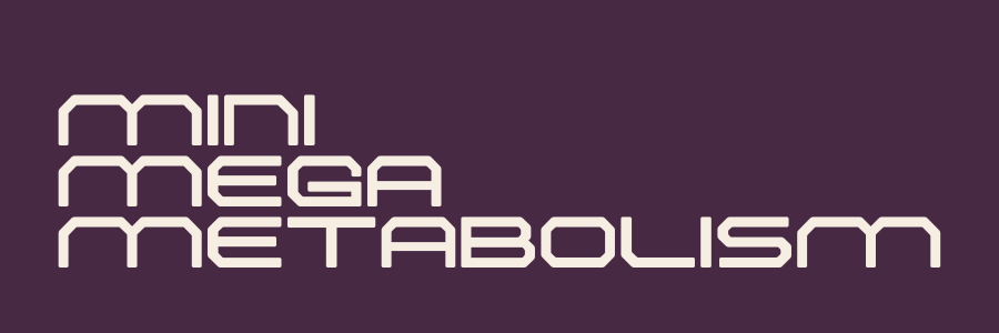 MINI MEGA METABOLISM