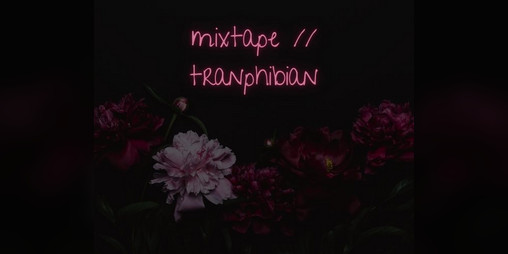 Cover image for mixtape // tranphibian
