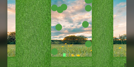 Cover image for Volleyballs