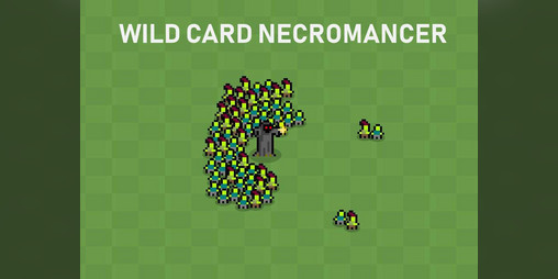 Cover image for Wild Card Necromancer