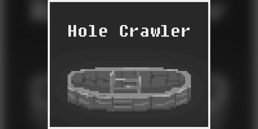 Cover image for Hole Crawler