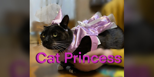 Cover image for Cat Princess