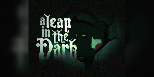 Cover image for A Leap in the Dark