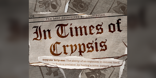 Cover image for In Times of Crypsis