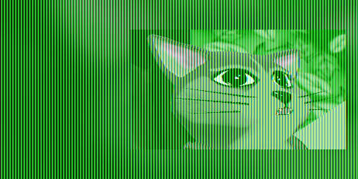 Cover image for What the MEOW?!?!