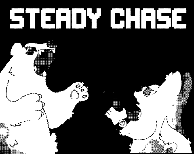 Cover image for Steady Chase