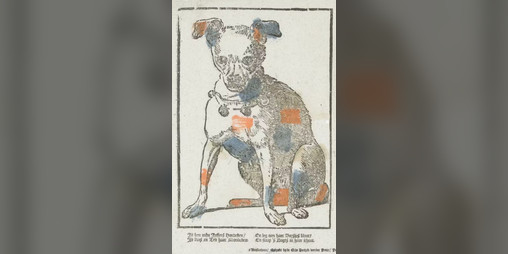 Cover image for What If Nobody Pets The Dog?