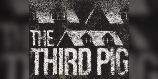 Cover image for The Third Pig