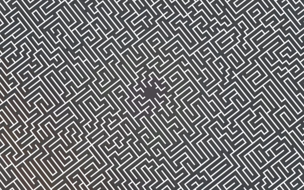 the night maze
