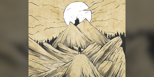 Cover image for Wildreach