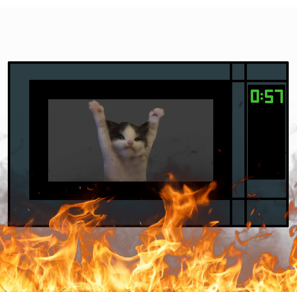 Cover image for You are Stuck in a Microwave
