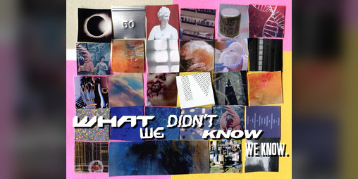 Cover image for What we didn't know we know