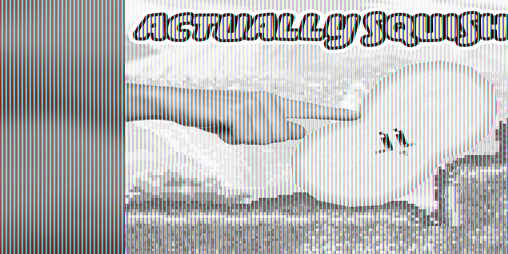 Cover image for Squishy Kirby
