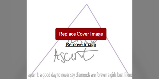 Cover image for Perfect Ascent