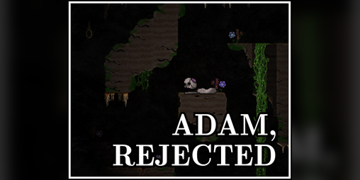 Cover image for Adam, Rejected