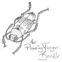 The Pleasing Fungus Beetle, another image I drew that featured in that zine.