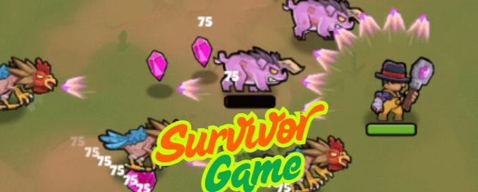 Survivor Game