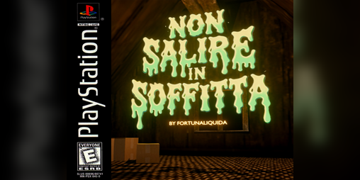 Cover image for non salire in soffitta