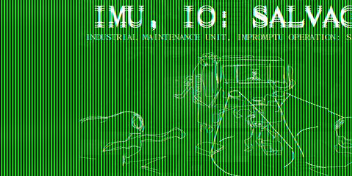 Cover image for IMU, IO: SALVAGE