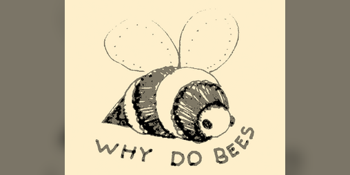 Cover image for WHY DO BEES