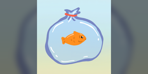 Cover image for Mori the Fish