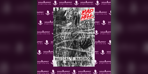 Cover image for Mad as Hell: Radical's Handbook