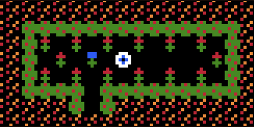 Cover image for Eyeball's Garden