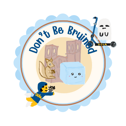 Cover image for don't be bRuined!